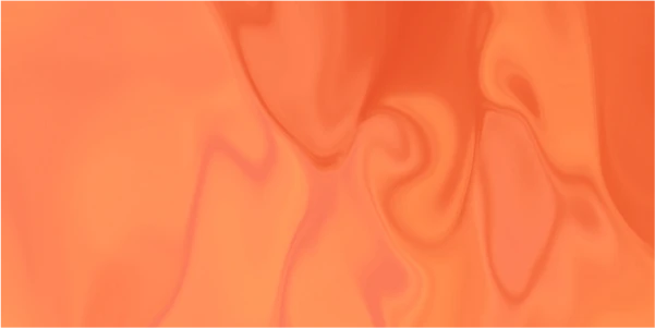 feedback